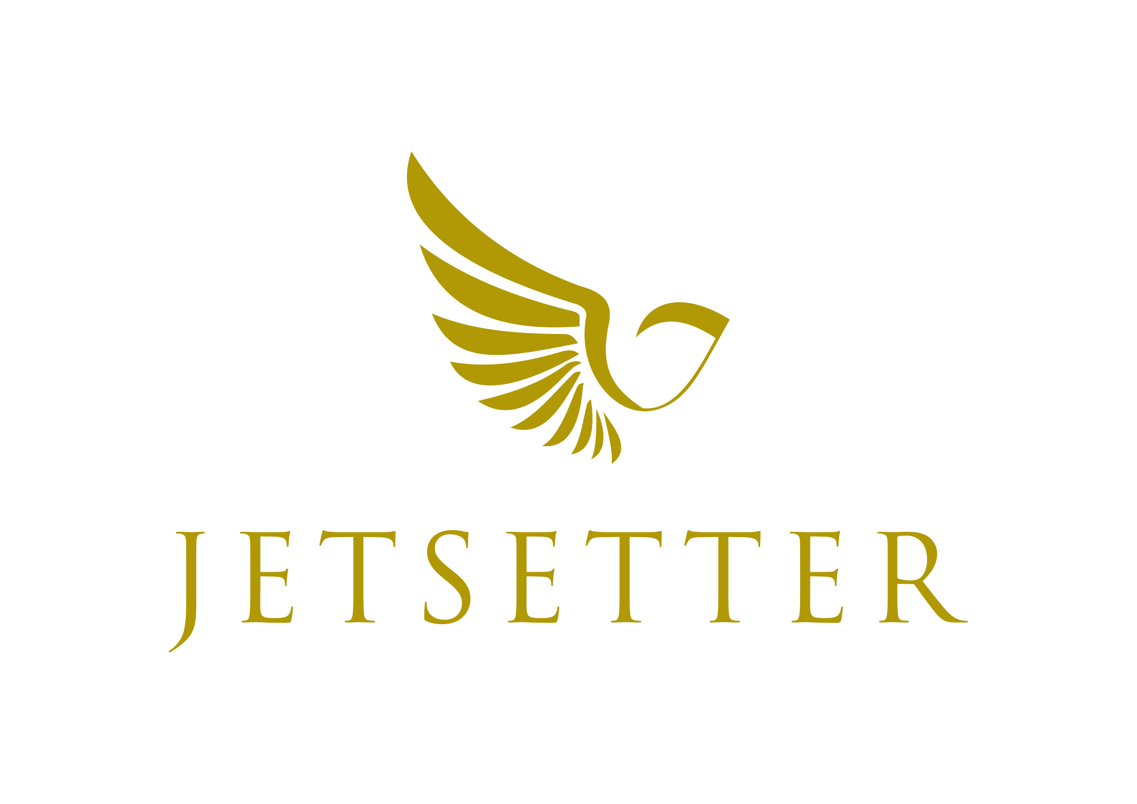 Jetsetter Business Jets logo