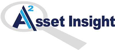 Asset Insight, LLC logo